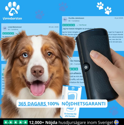 VOVVEBORSTEN™ - BORSTEN SOM MINSKAR FÄLLNING OCH HÅLLER HEMMET RENT