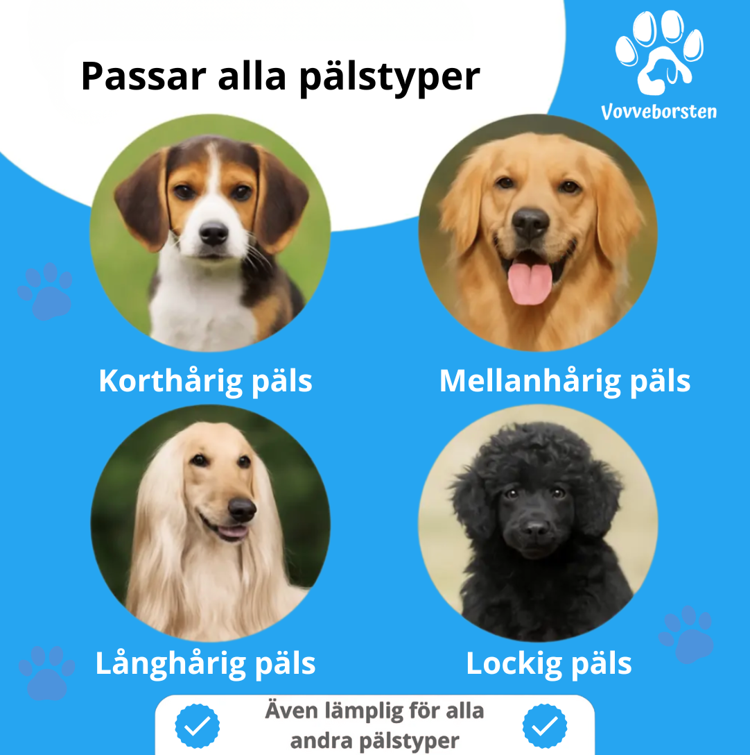 VOVVEBORSTEN™ - BORSTEN SOM MINSKAR FÄLLNING OCH HÅLLER HEMMET RENT